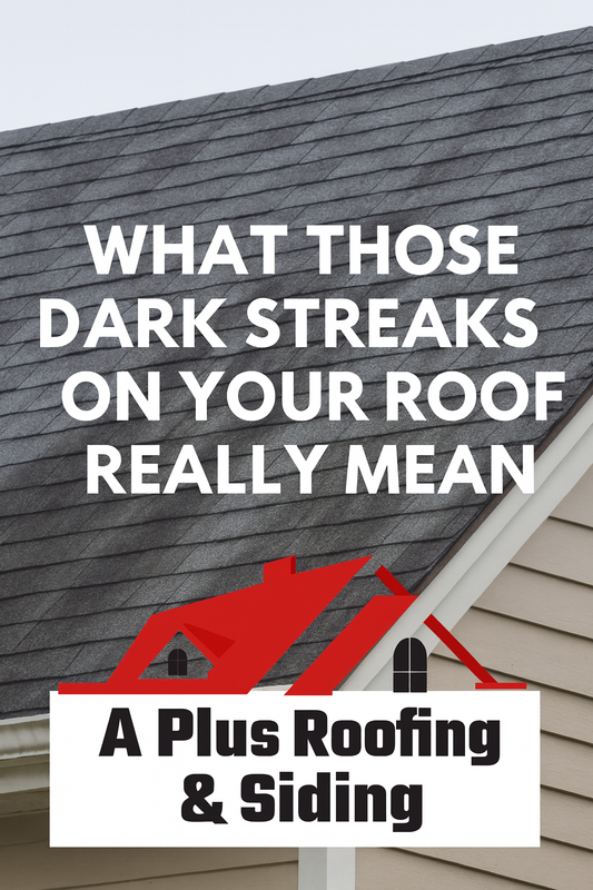 What Those Dark Streaks on Your Roof Really Mean